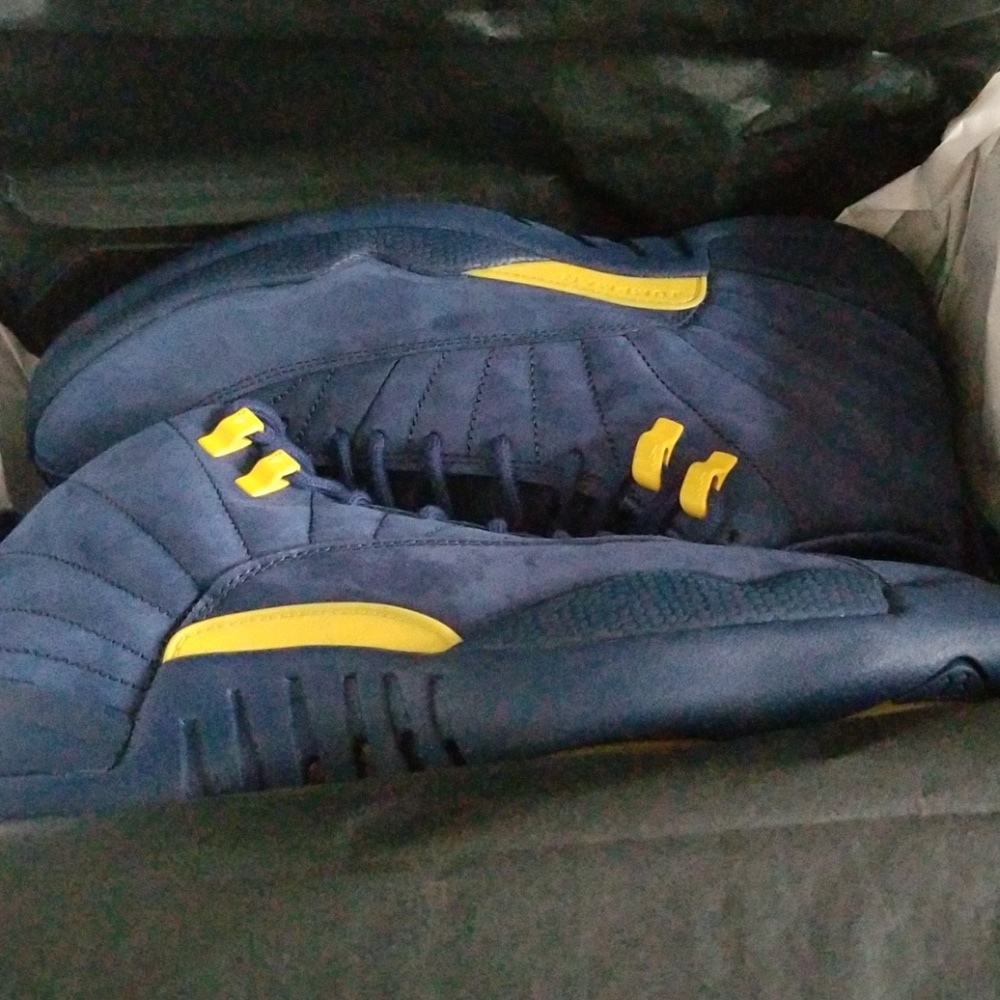 Air Jordan 12 Michigan